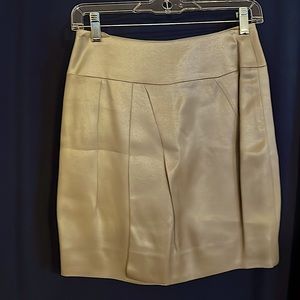PAUW Skirt